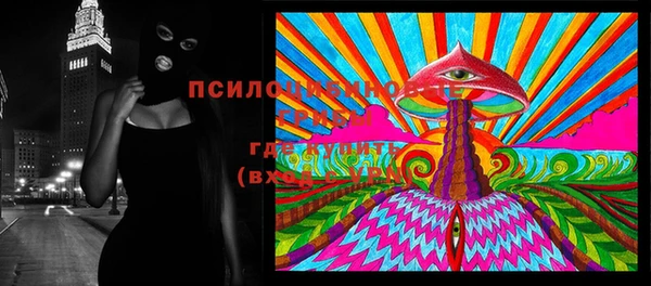 крисы Алексин