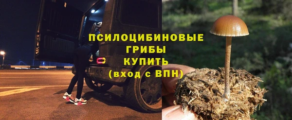 прущие крисы Алзамай