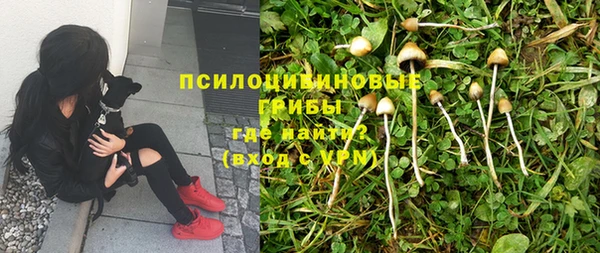 крисы Алексин