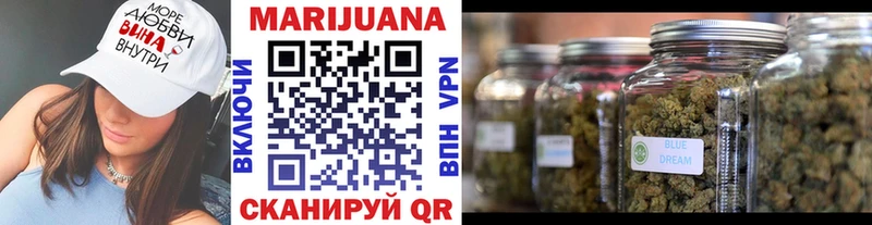 KRAKEN ссылки  Сураж  Канабис индика 